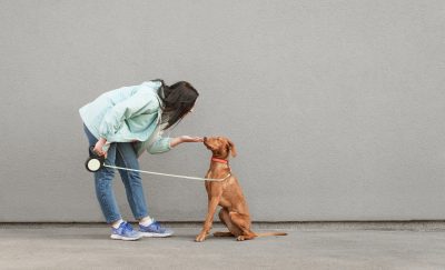 Dog walking is a common side gig