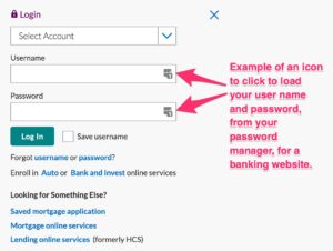 Example of an icon to click to load your user name and password, from your password manager, for a banking website.
